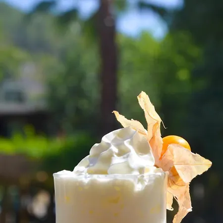 Ξενοδοχείο Balli Butik Kayakoy